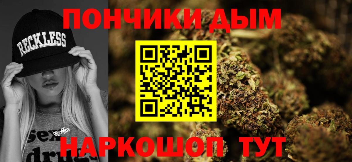 Каннабис индика  Бошки марихуана марихуана  Бошки Шишки Bruce Banner  Вход с VPN  Буйнакск 